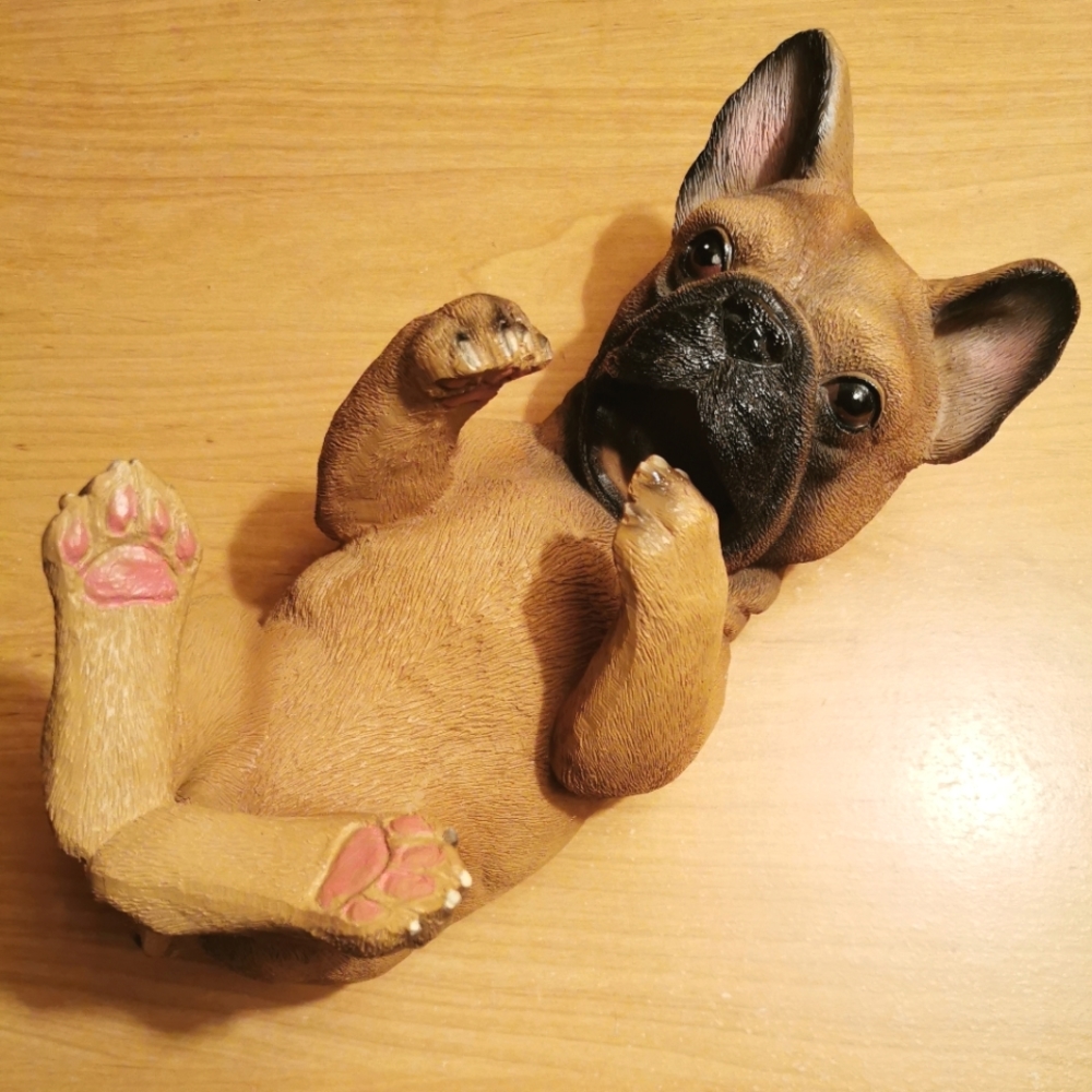 French Bulldog